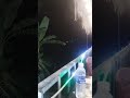 Cây sung khổng lồ 😉