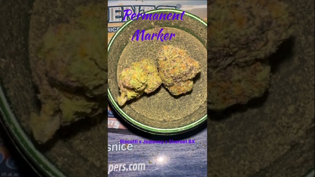 Leafly strain of the year 2023 Permanent Marker Cannabis Strain 