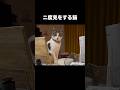 オモロ可愛い猫たちがハンパない#猫 #ねこ