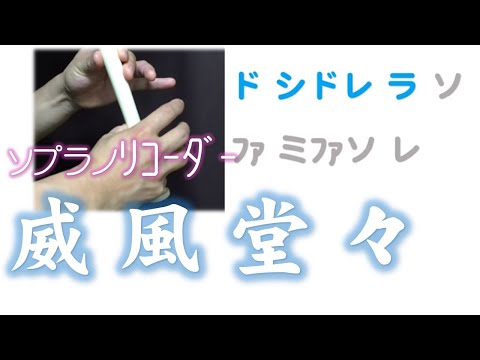 リコーダー サウンドオブミュージック ドレミファ楽譜付き Mm Teacher Note