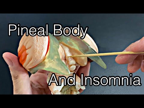 Anatomy of pineal body: function and insomnia (English)