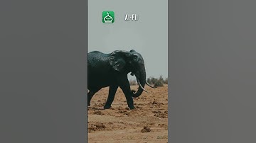 Surah Al-Fil (The Elephant): Urdu | Hindi Audio Translation | | سورة الفيل