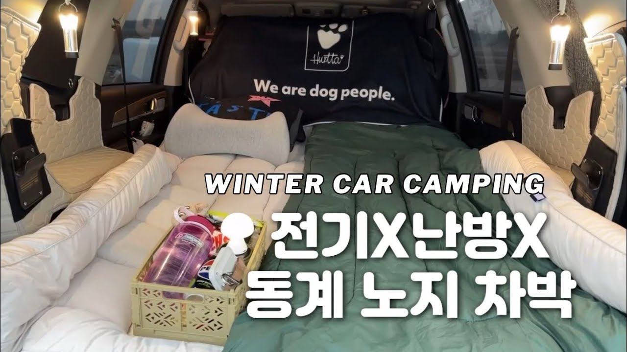 대형견과 동계 노지 차박 | 전기와 난방없이 차박하는 방법 | 모하비 차박