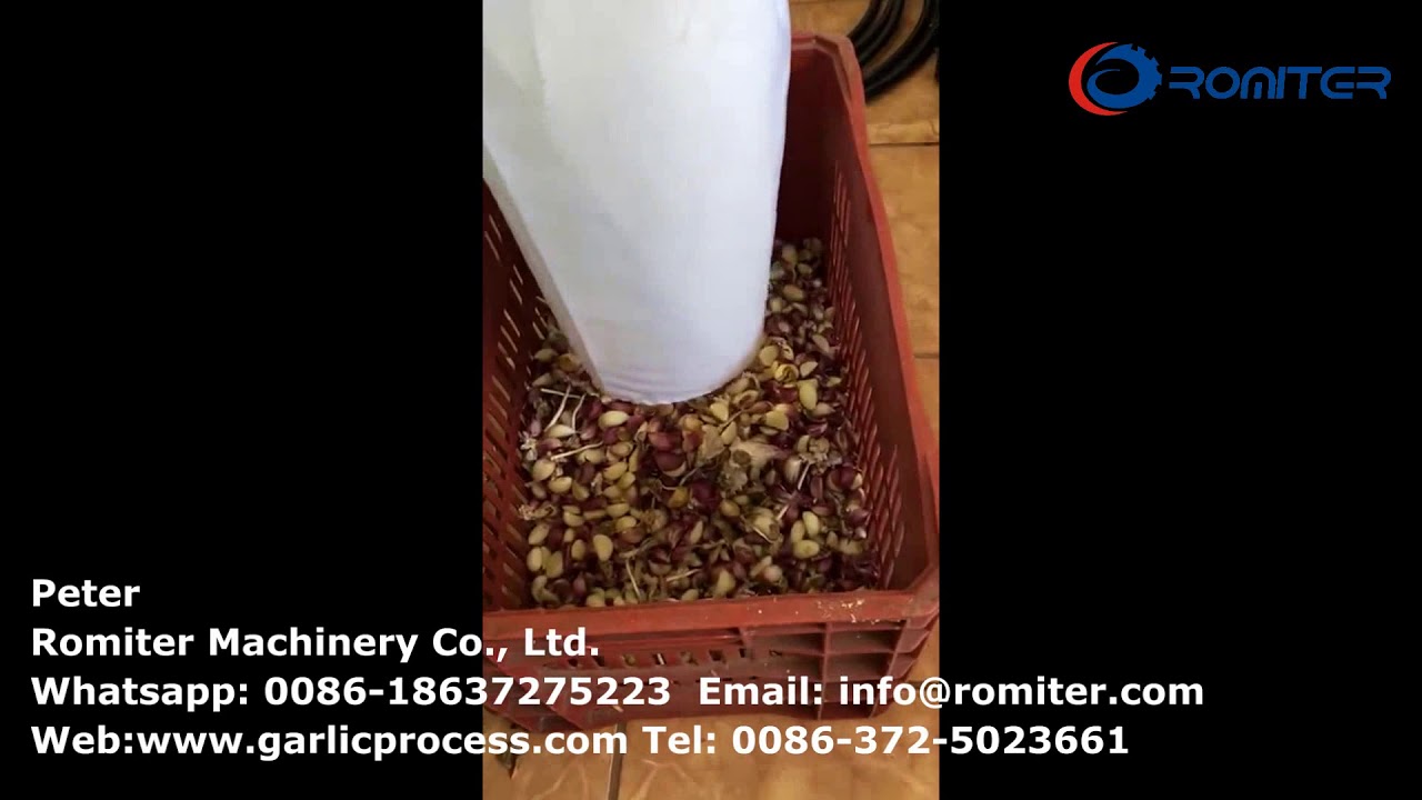 Automatic 1000kgh Garlic Clove Color Sorting Machine