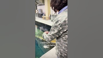 FangHelice Prototype Testing @ DUO Headquarters