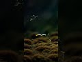 لا تنس ذكر الله علمت ان رزقي لن ياخذه غيري فاطمئن قلبي mp3