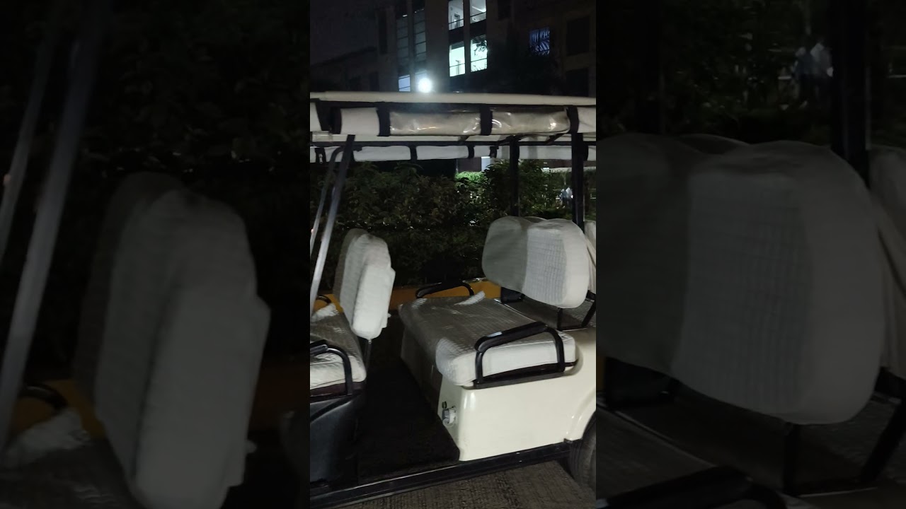 Electric Buggy