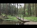 4K Macclesfield Forest Walk, English Countryside