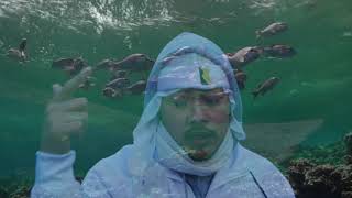Demon seto - 2017 FREESTYLE RARE VIDEO