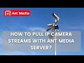 How to pull ip camera streams with ant media server