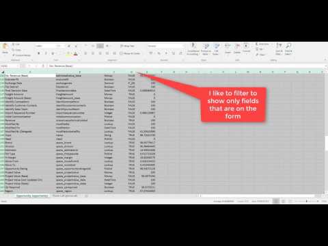 Microsoft Dynamics 365 - Attribute Usage Guide