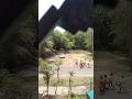 amader akhane chorok hochhe dekho #viral video #chorok puja