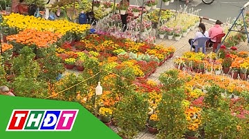 Bộ Nội vụ thông tin về lịch nghỉ lễ, Tết năm 2026 | THDT