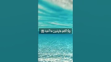 سورة الكافرون بصوت الشيخ ماهر المعيقلي 🤍💫