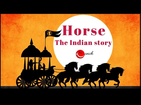 वीडियो: घोड़ा परिवहन: प्राचीन काल से वर्तमान तक