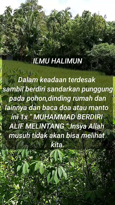 ILMU HALIMUN
