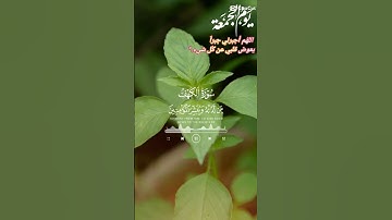 سورة الكهف #اذكار #اكسبلور