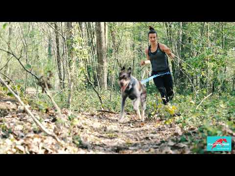 Inlandsis Storm - harnais performance canicross, cani-VTT et chien