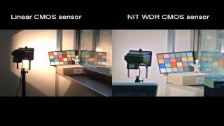 Nit Native Color Wide Dynamic Range Sensor With Real Time Tone Mapping Ii