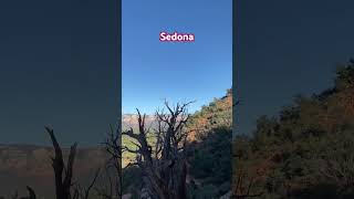 #sedona #hiking #セドナ #travel #mikaori #spirituality #スピリチュアル #ハイキング #399newyorksedona #cactus #サボテン