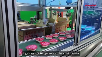 Delta robot for case packing