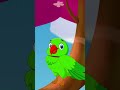 Tota Hu Main Tota Hu 🦜 | Popular Hindi Rhyme for Kids | Purple Turtle