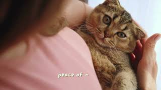 Own a Pet Care Business That Makes a Difference