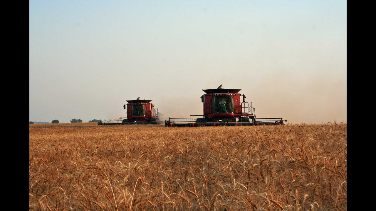 2020 Reese Agri - Haying and Harvest