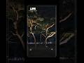 Life, recording moment Chungju city Korea🇰🇷🌕✨️