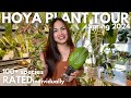 Ultimate hoya plant collection tour 2024 rating 116 varieties from 5 to 1 stars