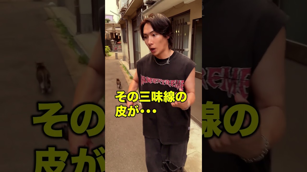 飛田新地にある｢猫塚｣の歴史が深すぎた･･･ : 有名YouTuber