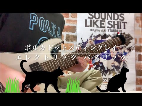 ポルカドットスティングレイ - エレクトリックパブリック ギター Guitar/Cover 【弾いてみた】