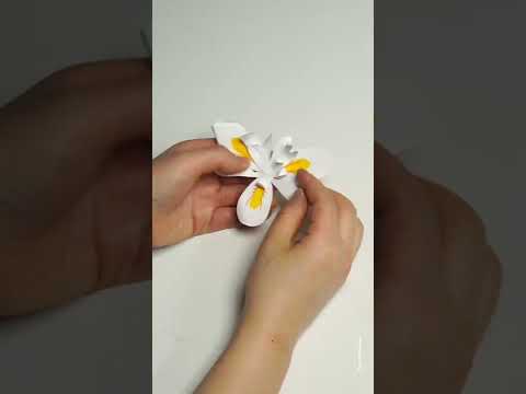 내가만든 멸종위기 식물 노란무늬 <strong>붓꽃</strong> #페이퍼아트 #paperart #paperflower #diy #display#디스플레이