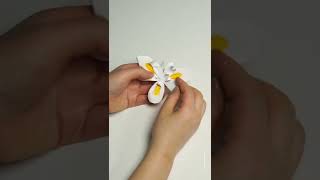 내가만든 멸종위기 식물 노란무늬 붓꽃 #페이퍼아트 #paperart #paperflower #diy #display#디스플레이