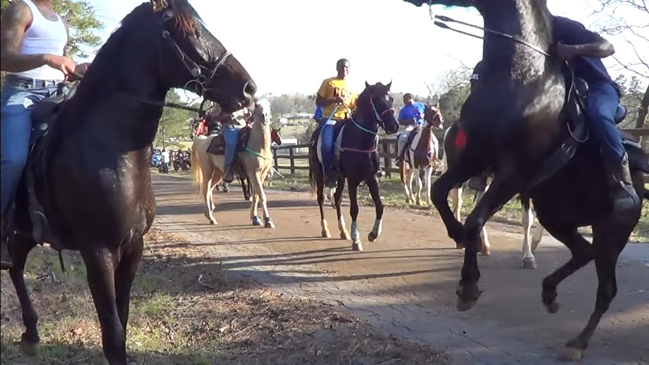 2022 Rowe Ranch Walking Horse Annual Trail Ride YouTube