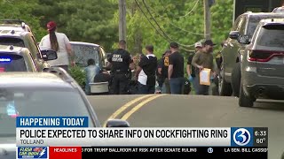 VIDEO: Tolland cockfighting ring info expected to be shared by police