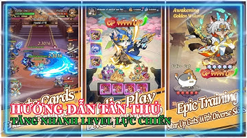 Cat Hero:GO Hướng dẫn tân thủ cách chơi chuẩn và cách tăng lực chiến nhanh