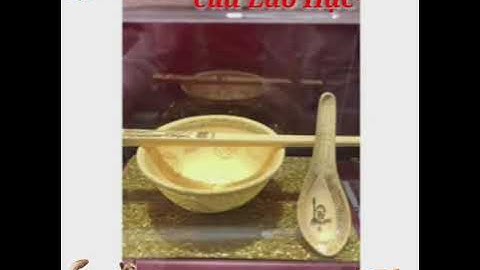 Cậu vàng trong truyện Lão Hạc là chó Shiba Nhật #cười không nhặt được mồm