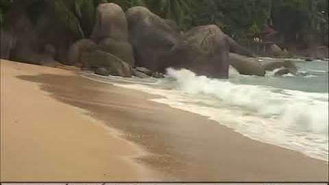 اجمل تلاوة-سورة النبأ-الشيخ احمد الذيفي