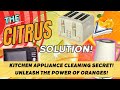 Clean Your Kitchen Appliances with Just One Orange?!