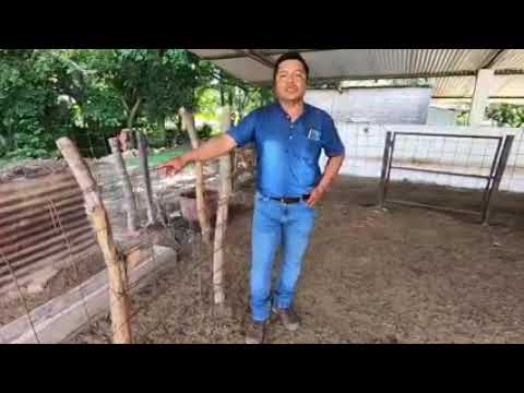 Testimonial del M.C. Emilio Aguilar