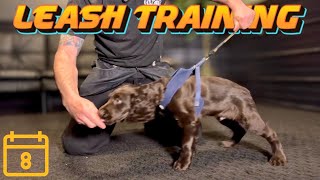 Leash Training Intro w/ My Puppy! Day 8