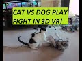 Dog Vs Cat Play Fight in 3D VR