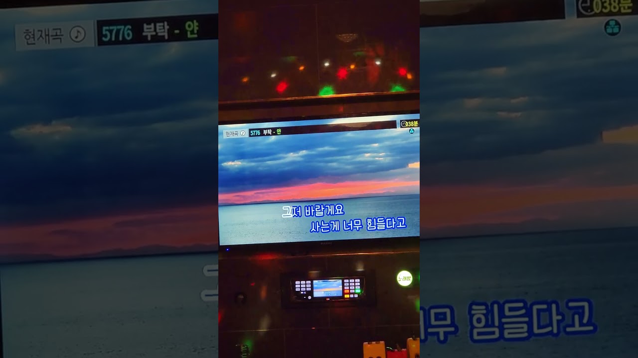 얀-부탁 (일반인 라이브)