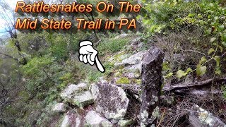 Warning! Rattlesnakes on Pennsylvania's Mid State Trail Section 2 on Knife Edge SGL Boundary Blazes