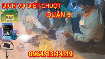DIỆT CHUỘT QUẬN 9 | DỊCH VỤ DIỆT CHUỘT QUẬN 9 | CÔNG TY DIỆT CHUỘT QUẬN 9 | THUỐC DIỆT CHUỘT QUẬN 9