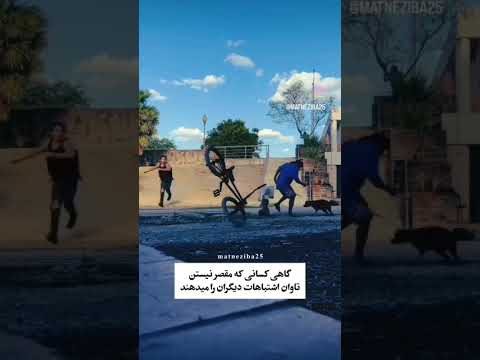 گاهی تاوان مقصر اشتباه دیگران