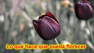 Video thumbnail of "El secreto de las flores PISTA - Mauri y  Chely"
