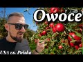 Usa vs polska  owoce
