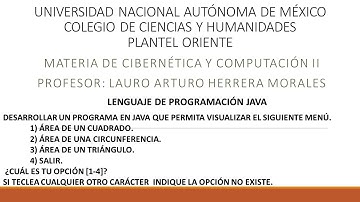 Desarrollar un programa en Java que permita visualizar un menú, utilizando switch en Java.